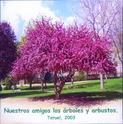 Patogenia de la inflamación