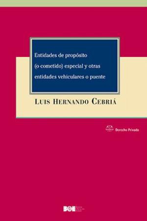 Editorial BOE. Entidades de propósito (o cometido) especial y otras entidades vehiculares o puente