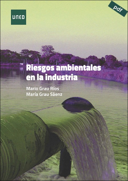 RIESGOS AMBIENTALES EN LA INDUSTRIA (e-book)