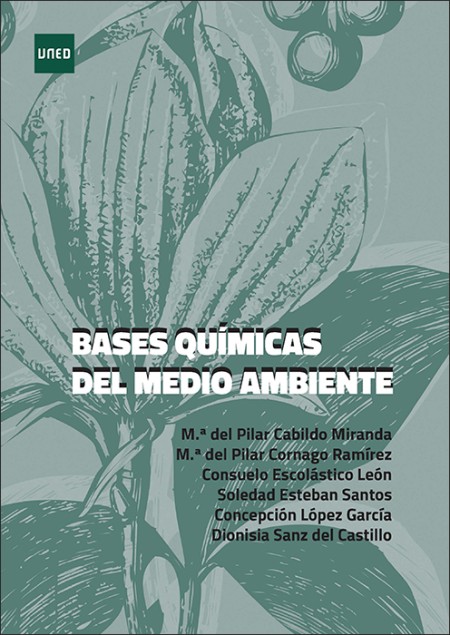 BASES QUÍMICAS DEL MEDIO AMBIENTE