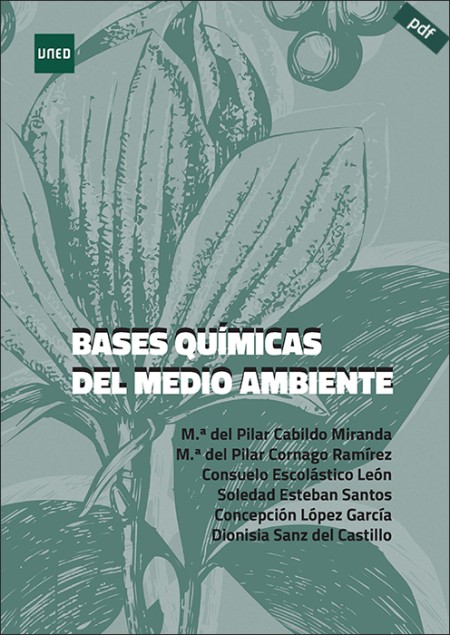 (e-book) BASES QUÍMICAS DEL MEDIO AMBIENTE