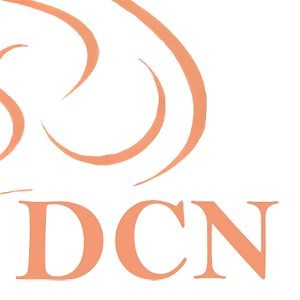 Revista de Discapacidad, Clínica y Neurociencias