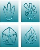 Spanish Journal of Palaeontology